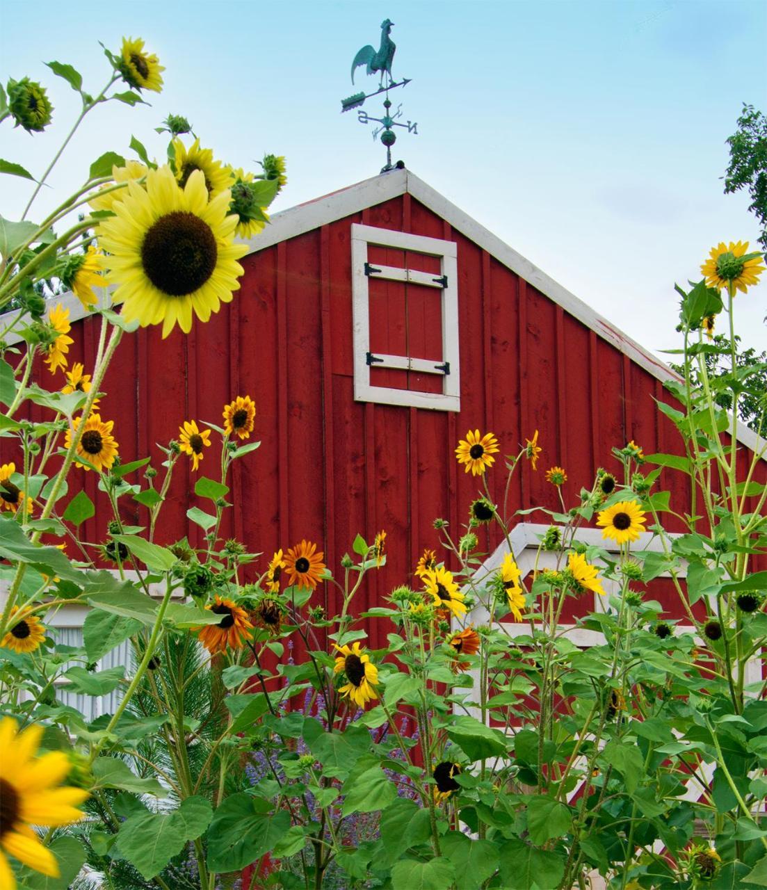 Sunflower Hill Inn Moab Εξωτερικό φωτογραφία